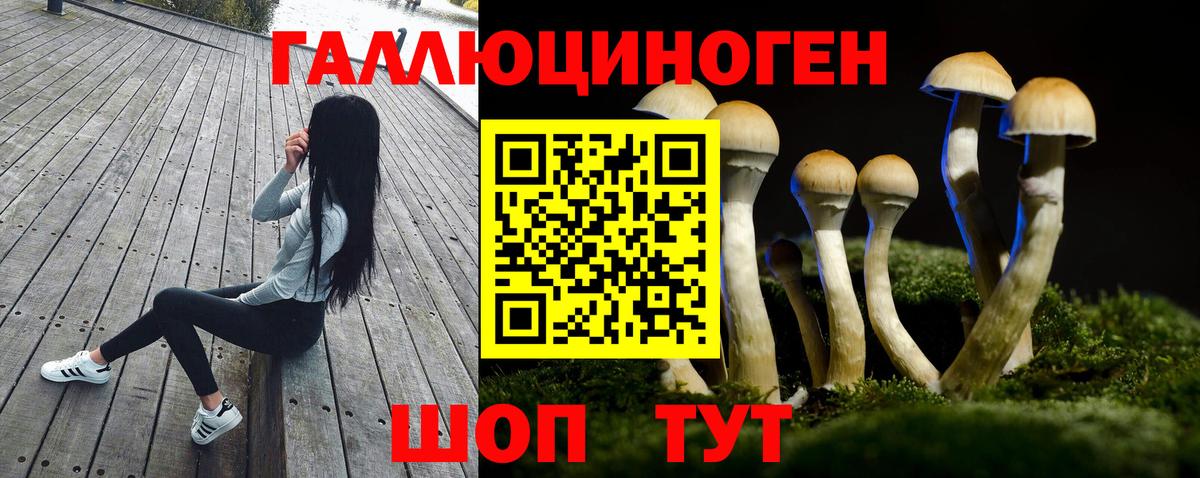 Галлюциногенные грибы прущие грибы  Галлюциногенные грибы Psilocybe  Лянтор  Вход с VPN 