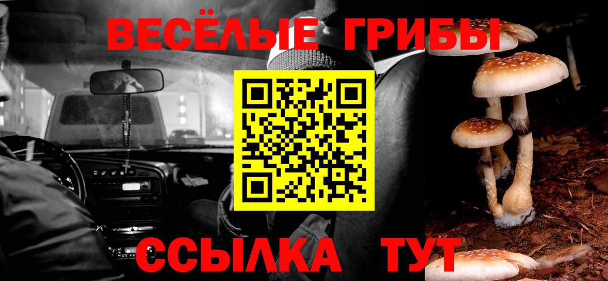 Псилоцибиновые грибы мицелий Лянтор