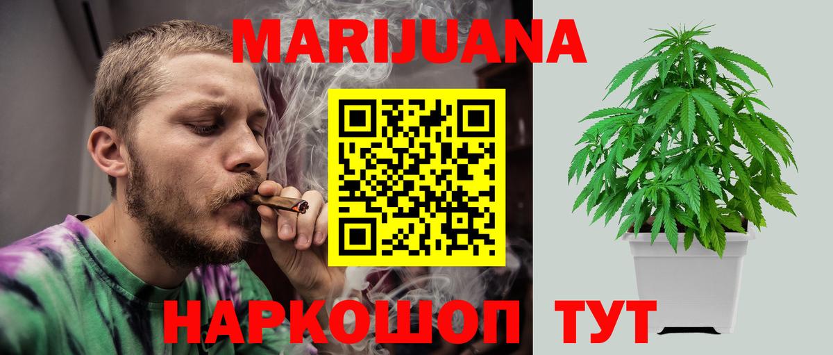 Шишки марихуана планчик Лянтор